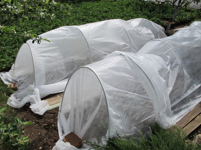 How To Protect Vegetable Gardens From The Snow? How To Protect Vegetable Gardens From The Snow?
