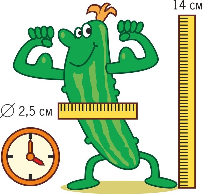 Best Vegetables For Muscle Growth Best Vegetables For Muscle Growth