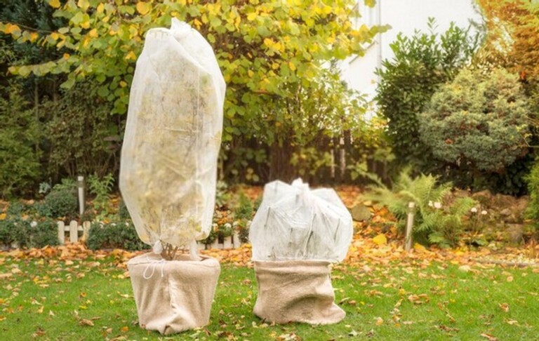 How To Protect Potted Plants From Sudden Frost? How To Protect Potted Plants From Sudden Frost?