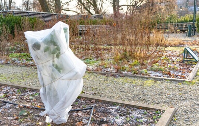 How To Protect Potted Plants From Sudden Frost? How To Protect Potted Plants From Sudden Frost?