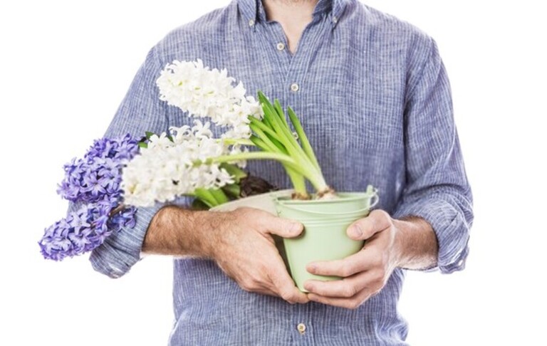 How To Protect Potted Plants From Sudden Frost? How To Protect Potted Plants From Sudden Frost?