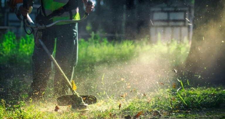 How Do You Clean A Yard Full Of Weeds? How Do You Clean A Yard Full Of Weeds?