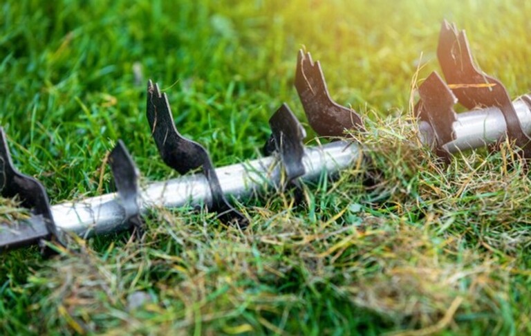 How Do You Clean A Yard Full Of Weeds? How Do You Clean A Yard Full Of Weeds?