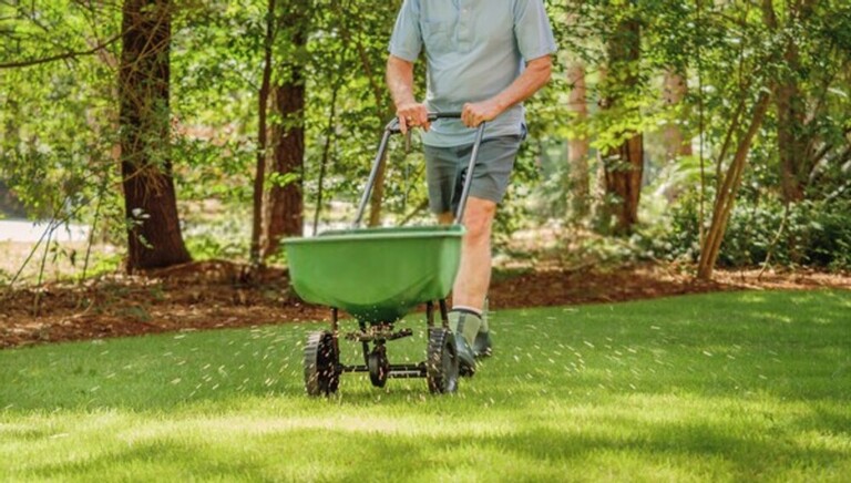 How Do You Clean A Yard Full Of Weeds? How Do You Clean A Yard Full Of Weeds?