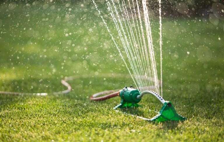 How Do You Clean A Yard Full Of Weeds? How Do You Clean A Yard Full Of Weeds?