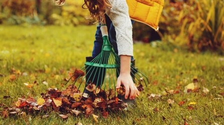 How Do You Clean A Yard Full Of Weeds? How Do You Clean A Yard Full Of Weeds?