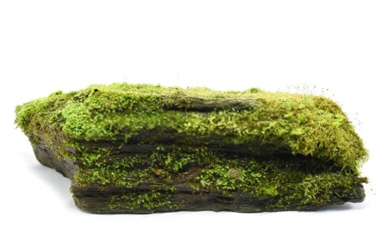 How Do You Make A Rock Garden Look Natural? How Do You Make A Rock Garden Look Natural?