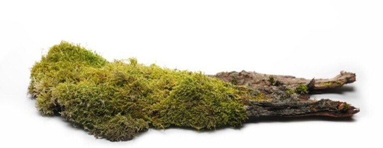 How Do You Make A Rock Garden Look Natural? How Do You Make A Rock Garden Look Natural?