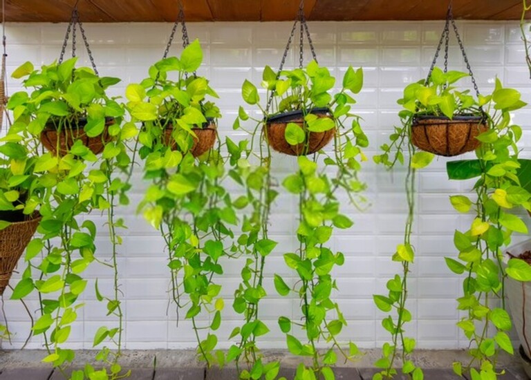 How To Add Shade To Your Outdoor Living Areas? How To Add Shade To Your Outdoor Living Areas?