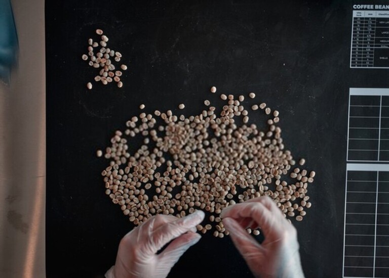 What Is The Best Way To Store Seeds For The Long Term? What Is The Best Way To Store Seeds For The Long Term?