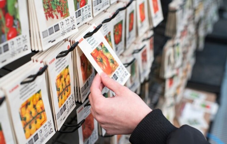 What Is The Best Way To Store Seeds For The Long Term? What Is The Best Way To Store Seeds For The Long Term?