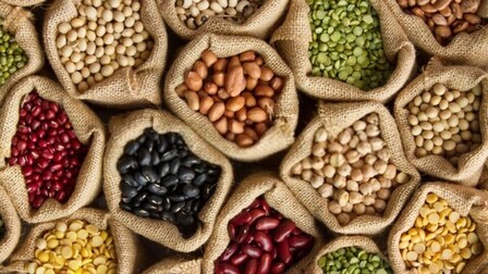 What Is The Best Way To Store Seeds For The Long Term?