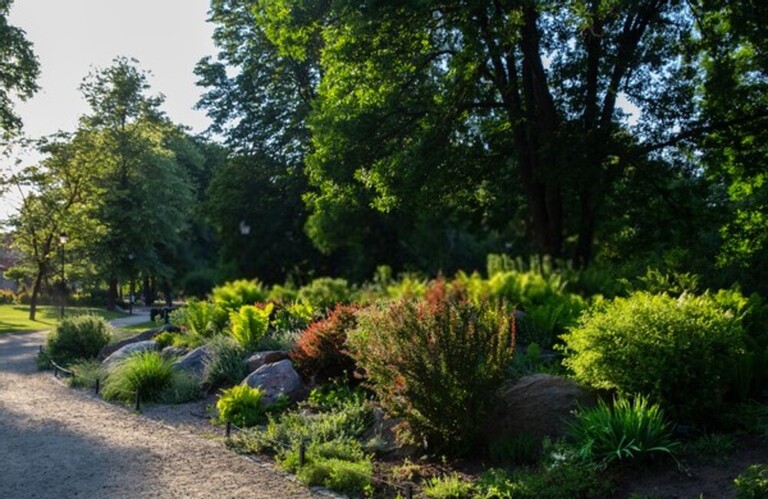 How Do You Raise The Height Of A Flat Garden?