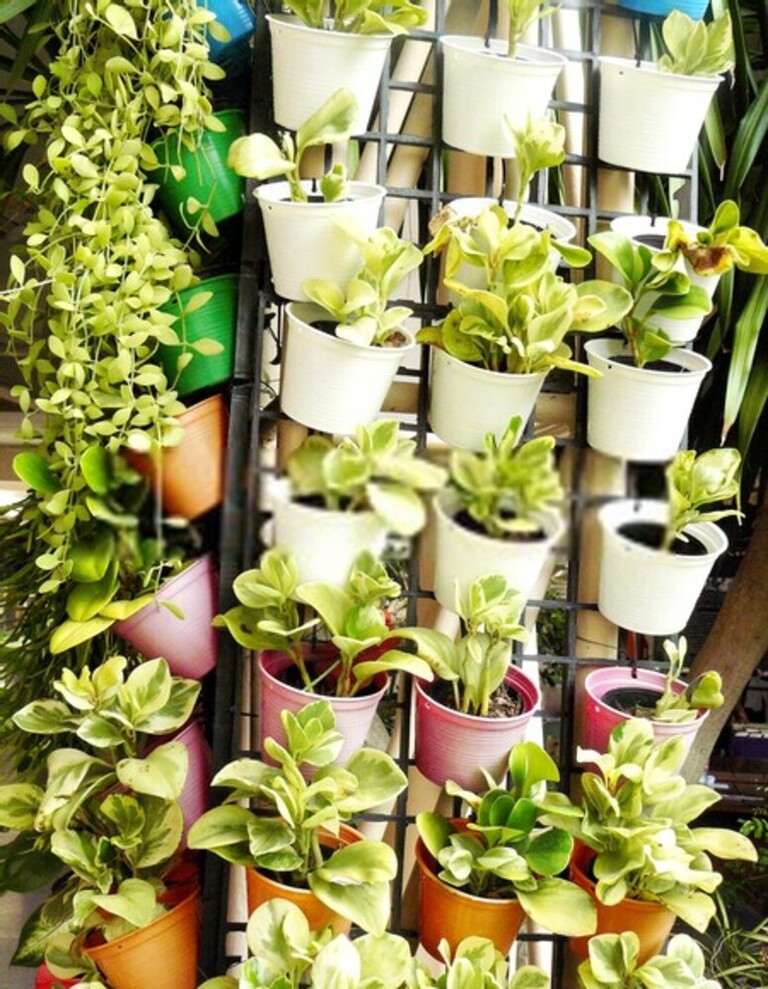 How Do You Raise The Height Of A Flat Garden?