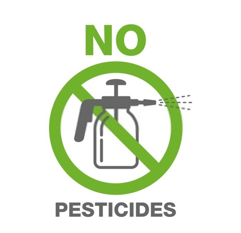 How Can I Encourage Bees And Butterflies Into My Garden? How Can I Encourage Bees And Butterflies Into My Garden?