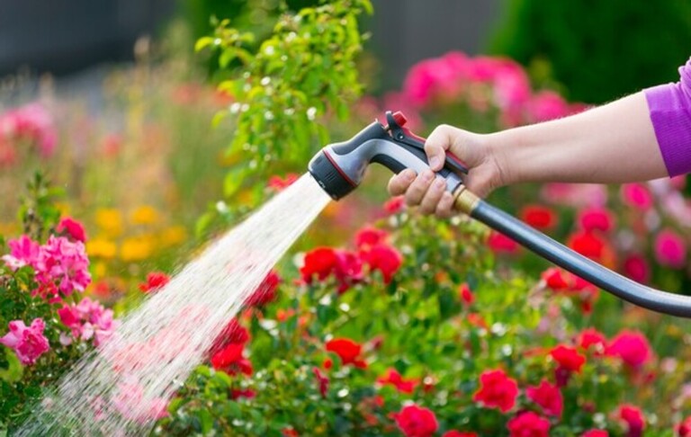 How Can I Encourage Bees And Butterflies Into My Garden? How Can I Encourage Bees And Butterflies Into My Garden?