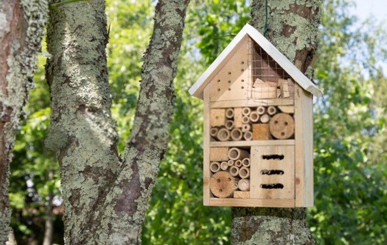 How Can I Encourage Bees And Butterflies Into My Garden? How Can I Encourage Bees And Butterflies Into My Garden?