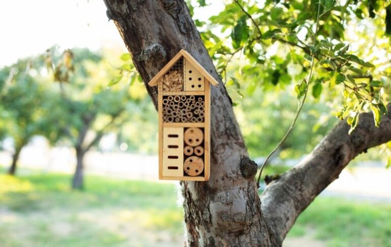How Can I Encourage Bees And Butterflies Into My Garden? How Can I Encourage Bees And Butterflies Into My Garden?