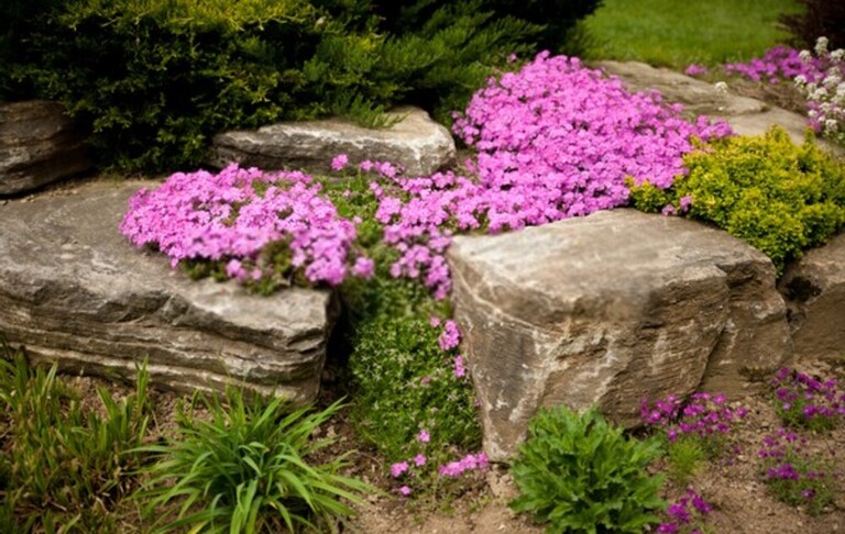 Simple Front Yard Landscaping Ideas Without Grass Simple Front Yard Landscaping Ideas Without Grass