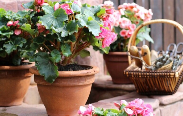 Simple Front Yard Landscaping Ideas Without Grass Simple Front Yard Landscaping Ideas Without Grass
