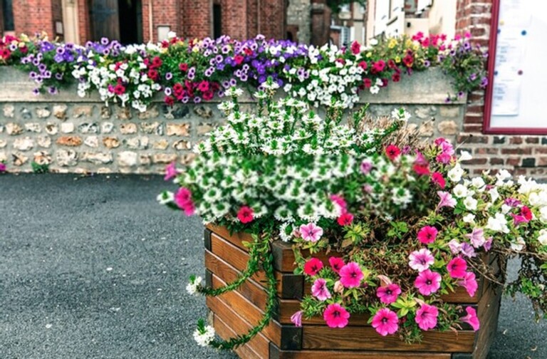 Simple Front Yard Landscaping Ideas Without Grass Simple Front Yard Landscaping Ideas Without Grass