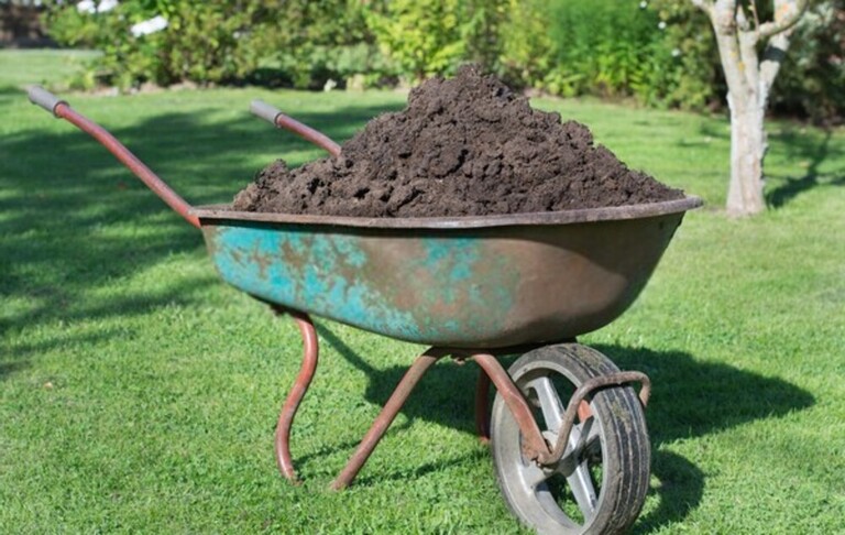 What Can You Do With Finished Compost? What Can You Do With Finished Compost?