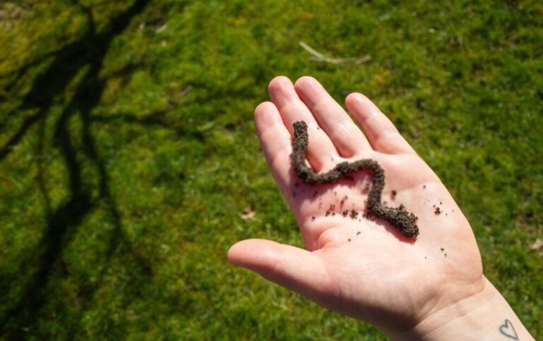 What Can You Do With Finished Compost? What Can You Do With Finished Compost?
