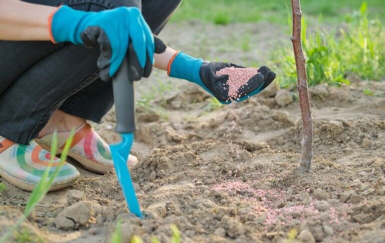 What Can You Do With Finished Compost? What Can You Do With Finished Compost?