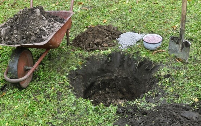 What Can You Do With Finished Compost? What Can You Do With Finished Compost?