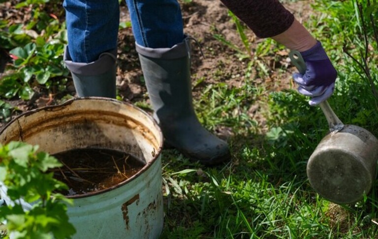What Can You Do With Finished Compost? What Can You Do With Finished Compost?