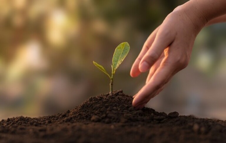 What Can You Do With Finished Compost? What Can You Do With Finished Compost?
