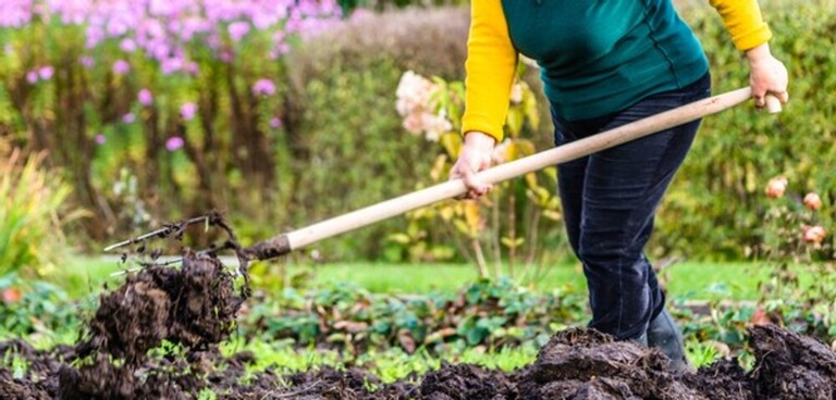 What Can You Do With Finished Compost? What Can You Do With Finished Compost?