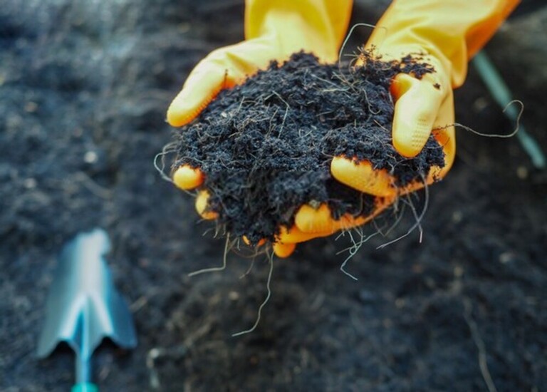 What Can You Do With Finished Compost? What Can You Do With Finished Compost?
