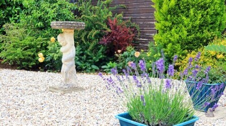 How Do You Build A Low-Maintenance Garden?