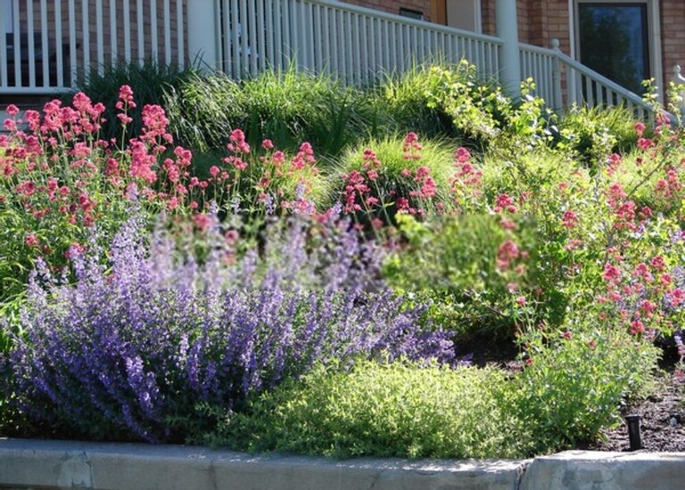 How Do You Build A Low-Maintenance Garden? How Do You Build A Low-Maintenance Garden?