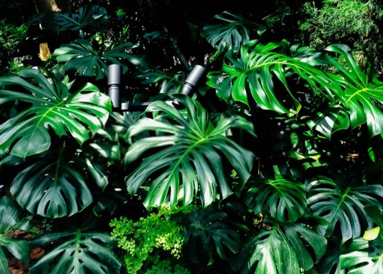 How Do You Build A Low-Maintenance Garden? How Do You Build A Low-Maintenance Garden?