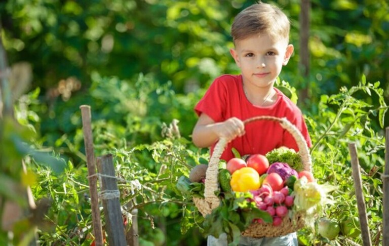 How Do You Build A Low-Maintenance Garden? How Do You Build A Low-Maintenance Garden?