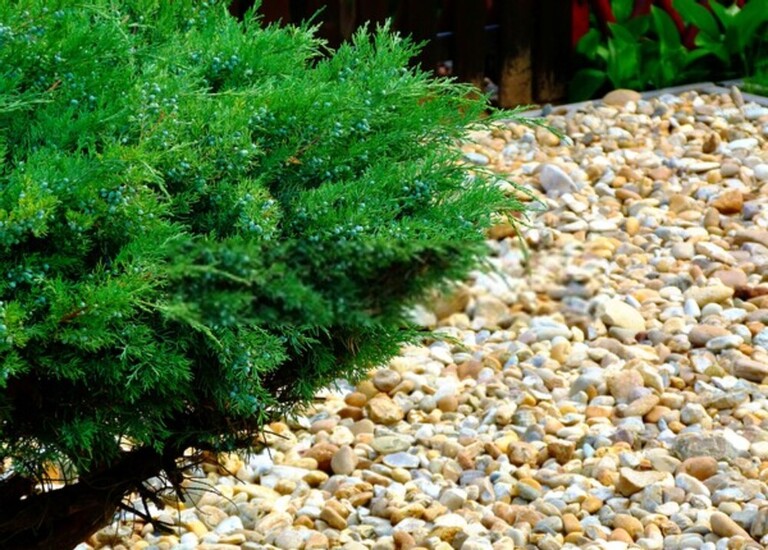 How Do You Build A Low-Maintenance Garden? How Do You Build A Low-Maintenance Garden?