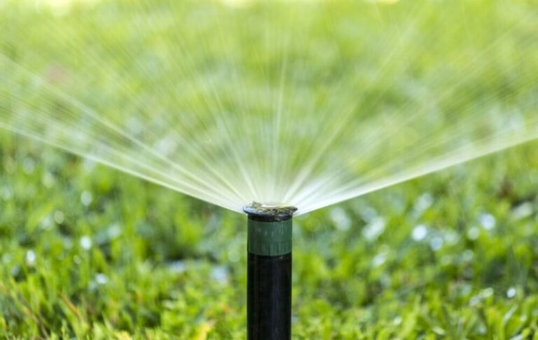 How Do You Build A Low-Maintenance Garden? How Do You Build A Low-Maintenance Garden?