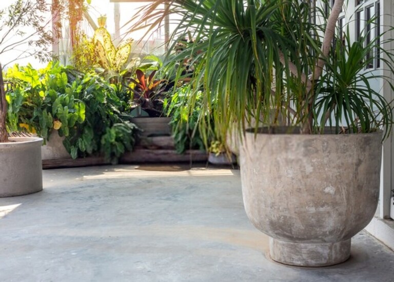 How Do You Build A Low-Maintenance Garden? How Do You Build A Low-Maintenance Garden?