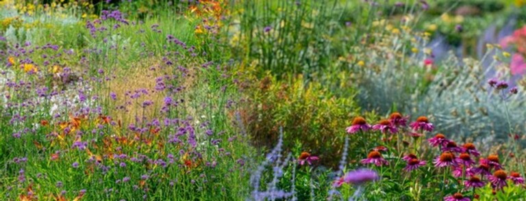 How Do You Build A Low-Maintenance Garden? How Do You Build A Low-Maintenance Garden?