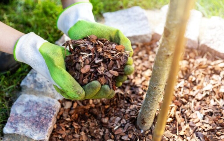 How Do You Build A Low-Maintenance Garden? How Do You Build A Low-Maintenance Garden?