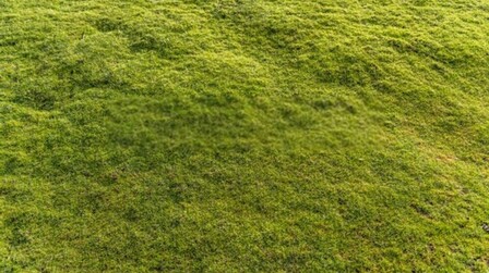 How To Level A Bumpy Lawn?