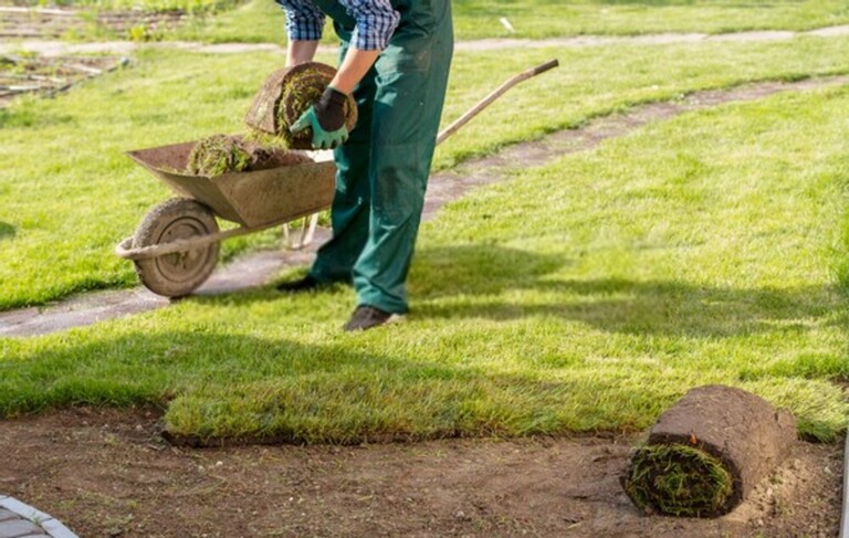 How To Level A Bumpy Lawn? How To Level A Bumpy Lawn?