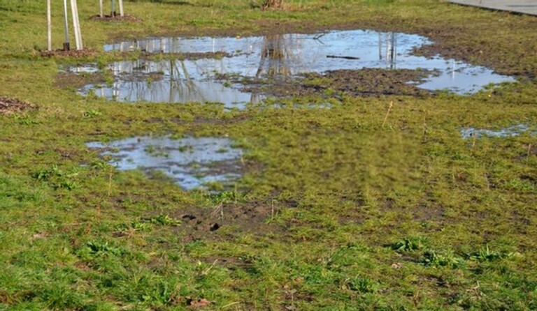 How To Level A Bumpy Lawn? How To Level A Bumpy Lawn?