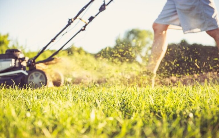 How To Level A Bumpy Lawn? How To Level A Bumpy Lawn?