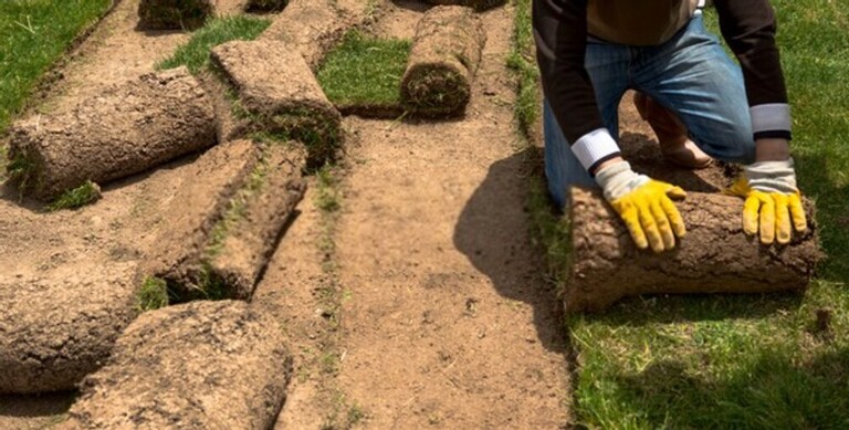 How To Level A Bumpy Lawn? How To Level A Bumpy Lawn?