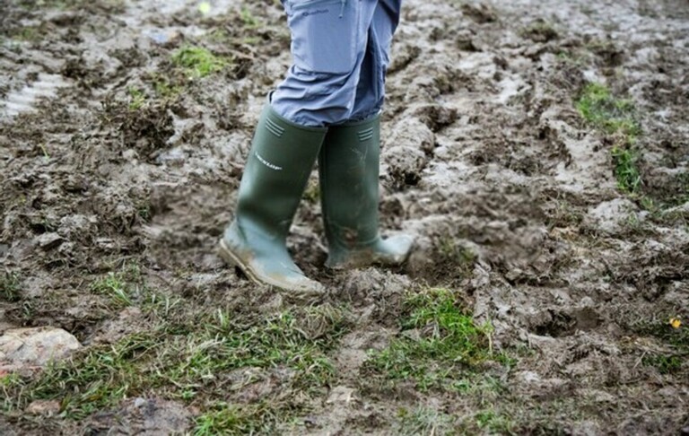 How To Level A Bumpy Lawn? How To Level A Bumpy Lawn?