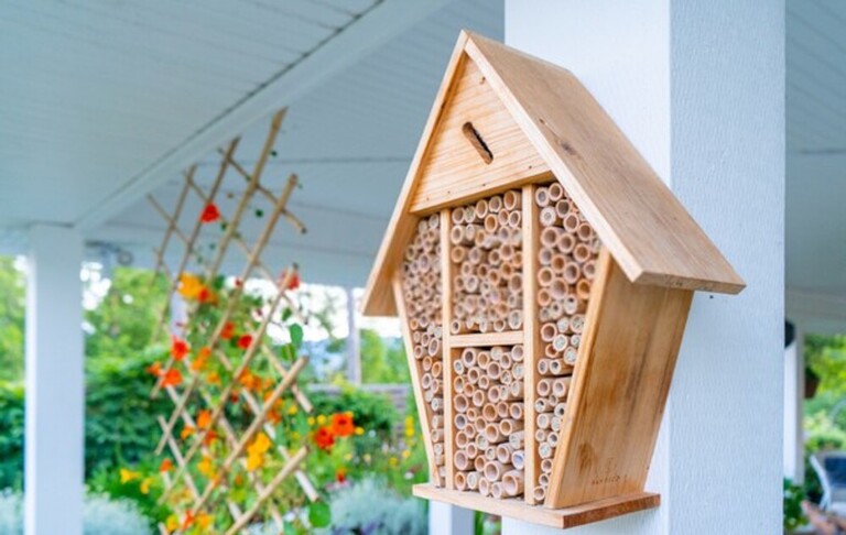 How To Attract Beneficial Insects To Your Garden? How To Attract Beneficial Insects To Your Garden?