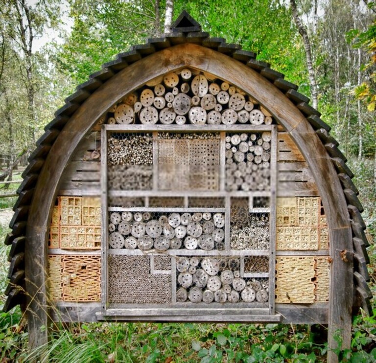 How To Attract Beneficial Insects To Your Garden?